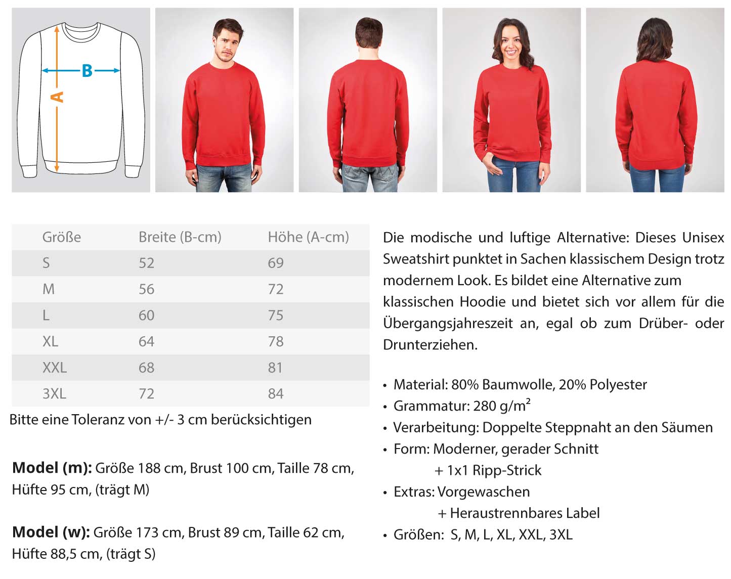 Apres Ski Pullover Skifahren Sweater